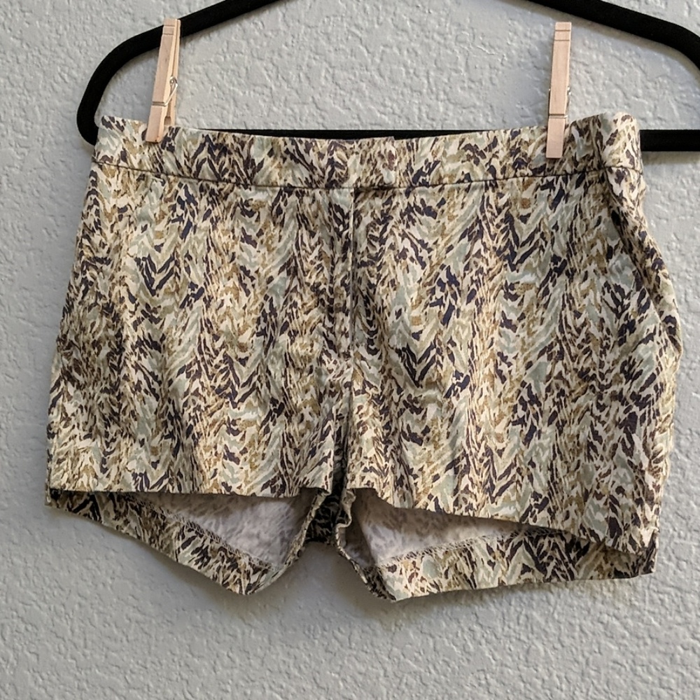 Multicolor Cute Shorts